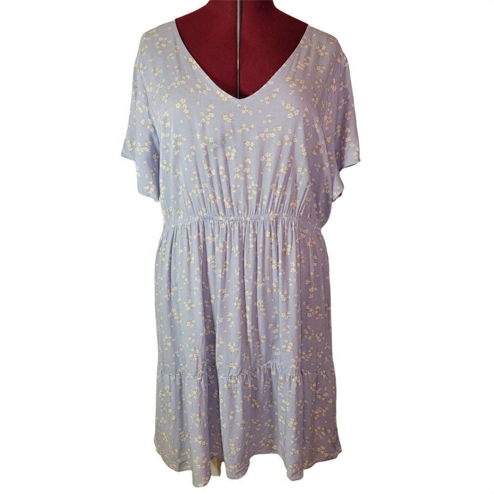 Pink Rose Blue Spruce Floral Dress (size 2X)